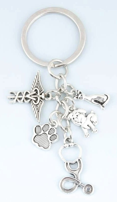 A VETERINARIUN Key Chain